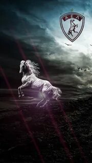 Обои на телефон 2024 год