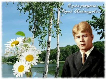 Др есенина