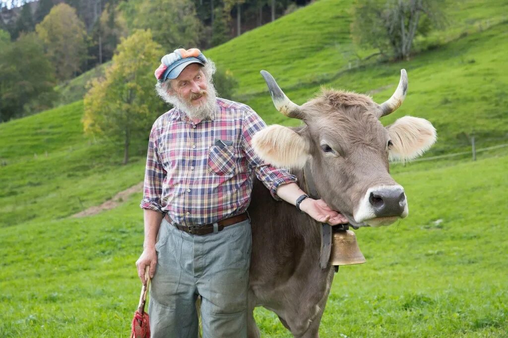 корова мужик. корова и человек. обнимает корову. доение коров. муж коровы.