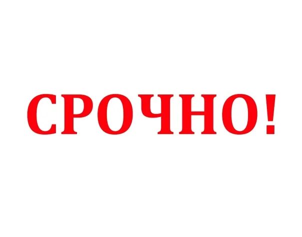 Срочно позвони. Срочно позвони.надпись. Срочно. Стикер срочно. Наклейки срочно