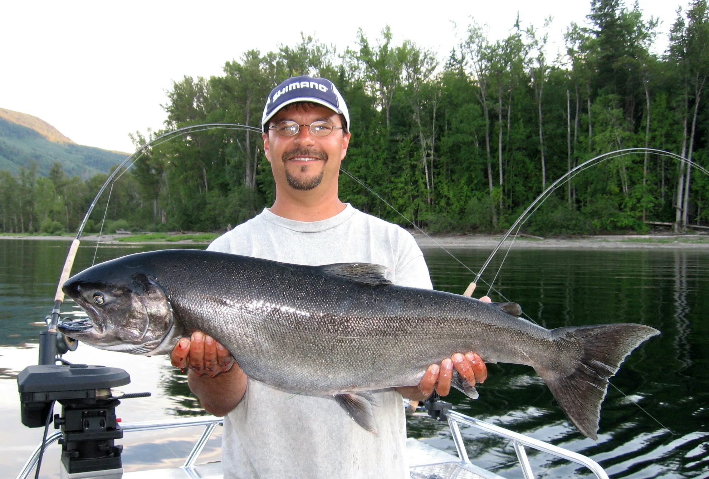 Озеро Мичиган рыбалка. Рыбы озера Мичиган. Salmon Charter. Bubba Fish. Рыбы в озере мичиган