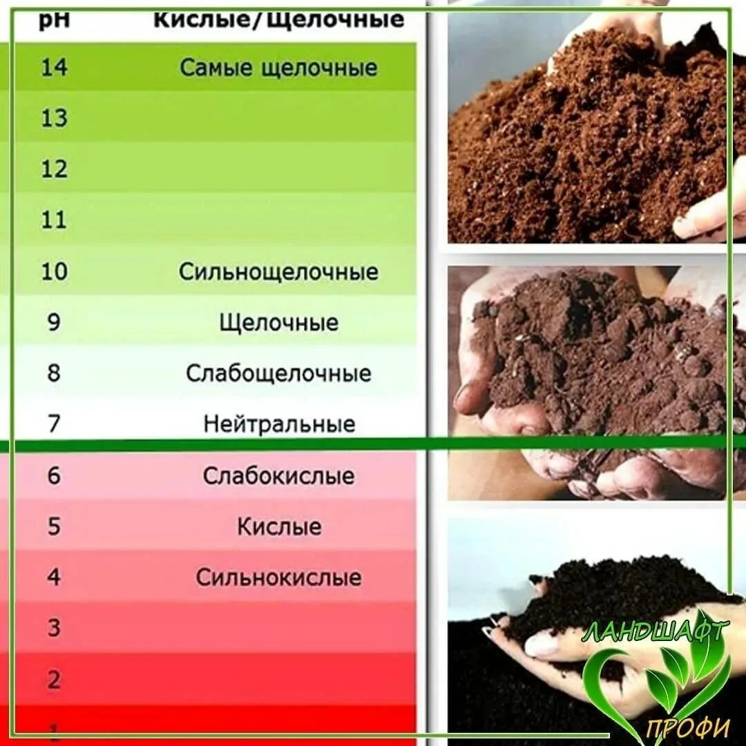 Как закислить грунт