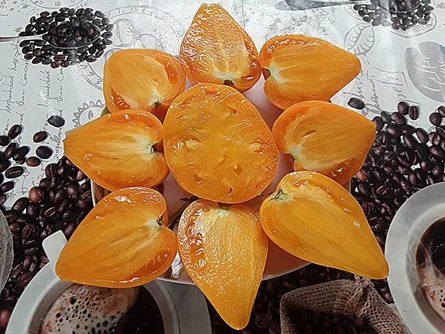 томат ослиные уши характеристика. томат ослиные уши золотые сибирский сад. томат сердце пустыни характеристика и описание. томат сердце пустыни описание. томат сердце пустыни описание.