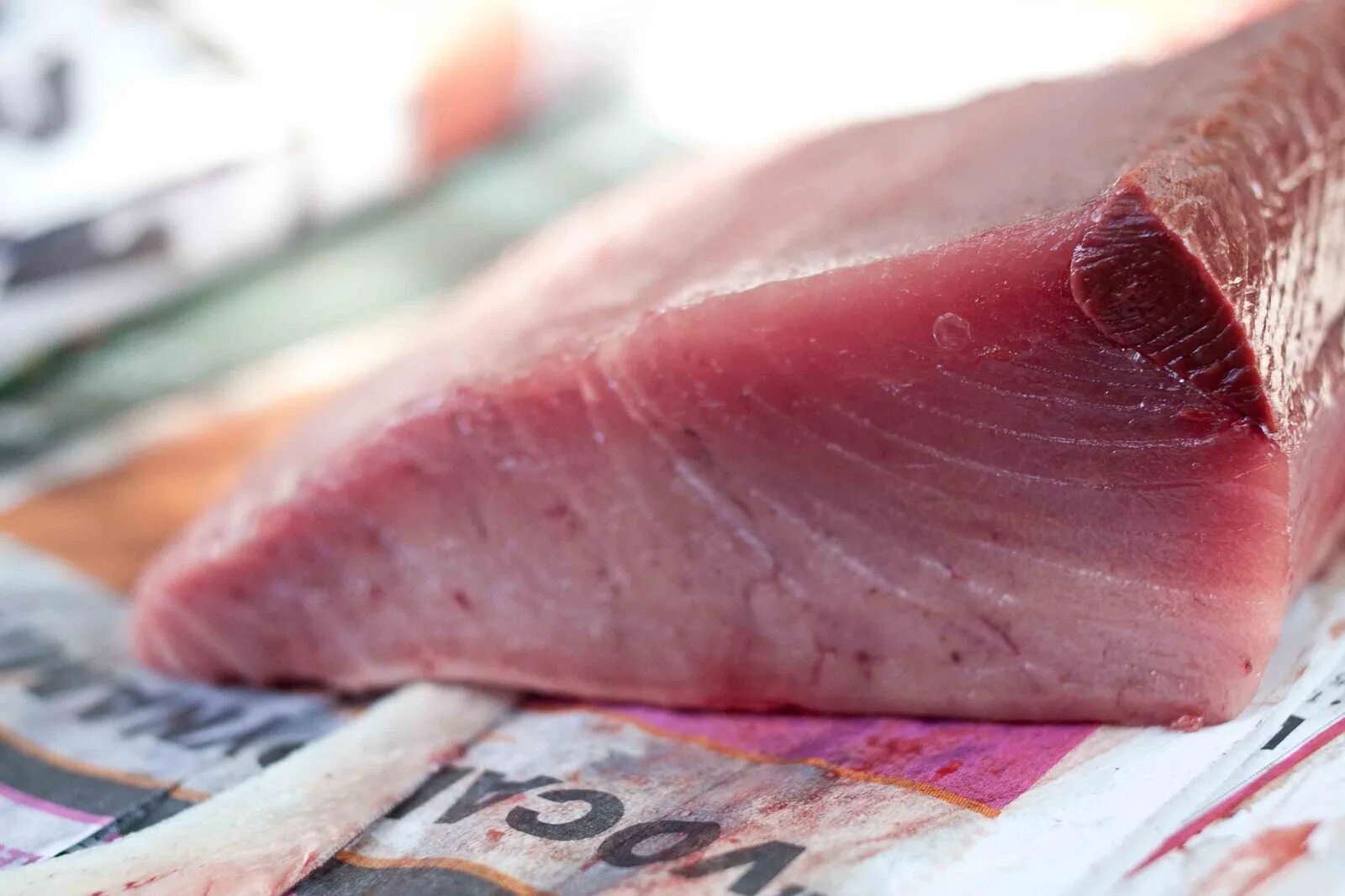 Почему мясо розовое. Тунец Блюфин мясо. Тунец рыба мясо. Голубой тунец.