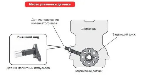 Датчик цепи коленвала