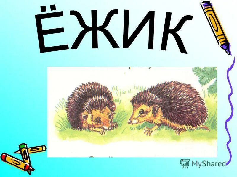 Загадка про ежика. Под елками лежит мешок с иголками. Под соснами под елками лежит мешок с иголками ответ на загадку. Лежала под елками подушечка с иголками лежала. По соснами под елками лежит мешок с иголками что это.