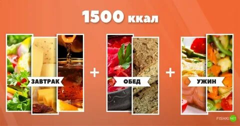 Как выглядит 1500