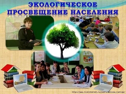 Дополнительное образование экология