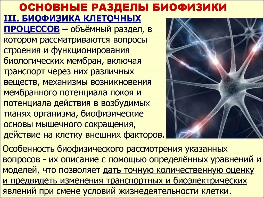 Биофизика сайт. Основные разделы медбиофизики. Биофизика презентация. Биофизика ее разделы. Биофизические основы нанотехнологии.