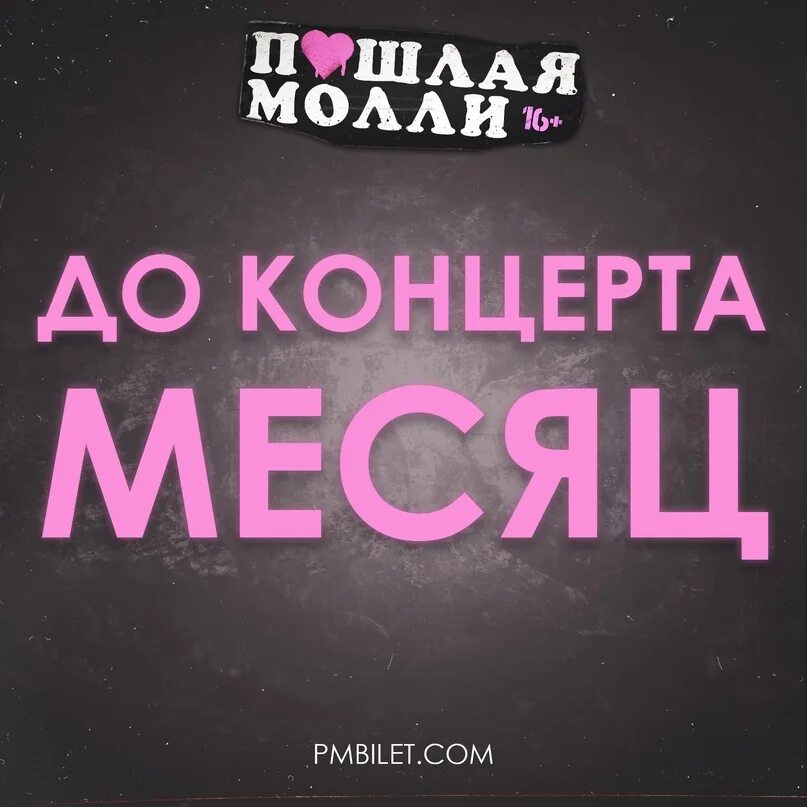 Расписание концертов пошлой молли