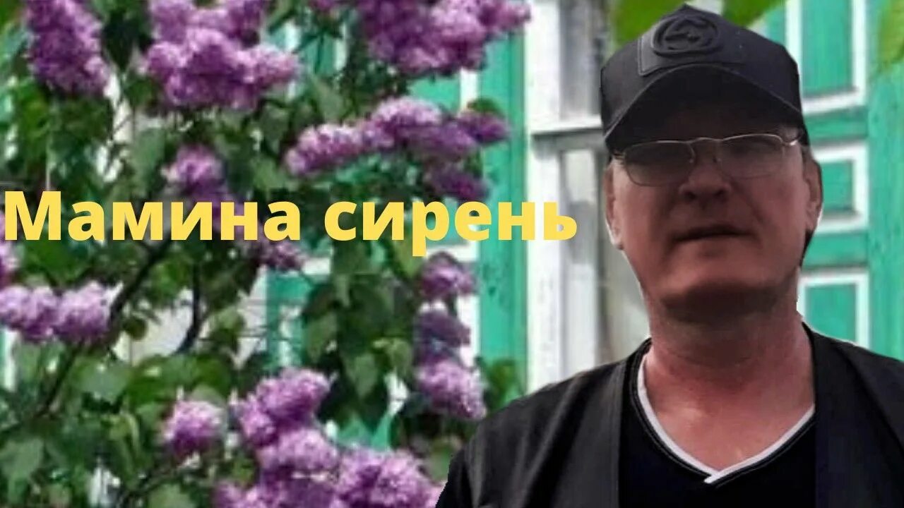 Демидыч Мамина сирень. Песня Мамина сирень Демидыч. Мамина сирень караоке. Мамина сирень Демидыч слушать. Демидыч сирень