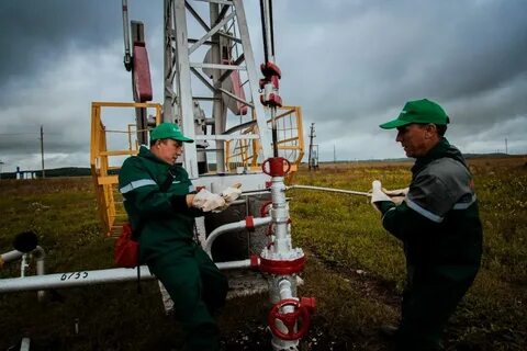 Нефть нижнекамск