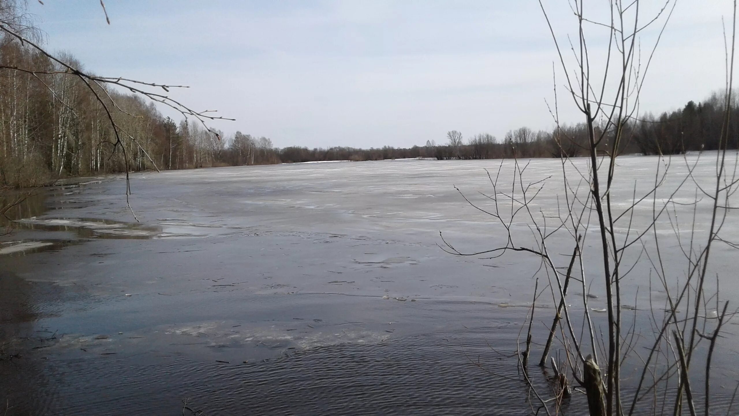 Щука в половодье. Первый лед Пермский край. Половодье реки Камы. Половодье картинки для детей. Калиновские разрезы первый лед.