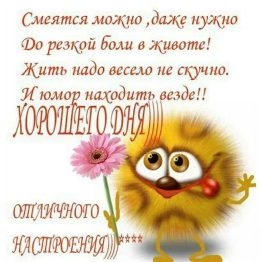 С добрым утром и прикольными пожеланиями. Пожелания с добрым утром прикольные. веселые пожелания с добрым утром. пикольныеоткрытки с добрым утром. смешные пожелания с добрым утром.