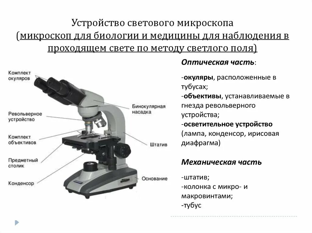 Какая функция тубуса в микроскопе. Оптический микроскоп схема строения. Световой микроскоп с иммерсионной системой схема. Части устройства светового микроскопа. Оптическая и механическая части микроскопа.