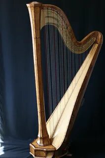 Arp