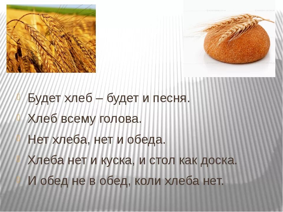 Первый хлеб текст. Рассказ про хлеб для детей. Стихотворение о пшенице хлебе. Хлеб всему голова в поле. 5 Предложений о хлебе.