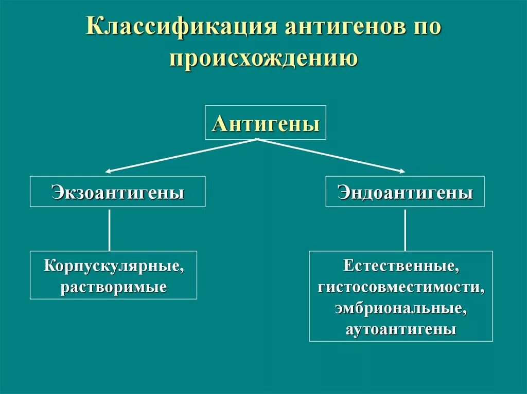 Антигены их классификация. Иммунобиологическая классификация антигенов. Антигены, классификация антигенов. Классификация антигенов по функциональному состоянию. Основные группы антигенов