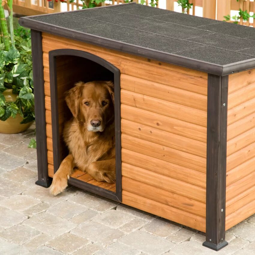 видео барс унëс со двора собаку. собачья будка keter dog house 99x99x95 см пластик. конура бутка для собак. кавказская овчарка в конуре. собака с конурой.