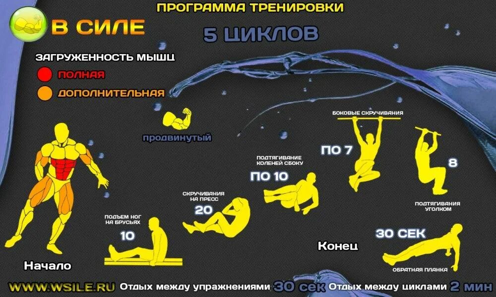 Программа упражнений. Тренировка в домашних условиях. План тренировок. Программа тренировок в домашних условиях.