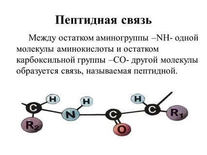 За счет каких связей обеспечивается первичная