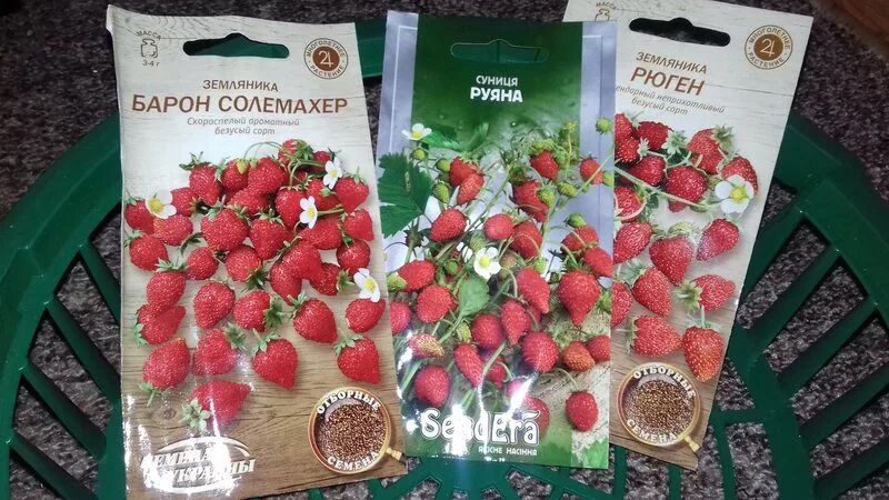 Семена земляника Русский огород Барон Солемахер 300002 1 уп. - купить в РусЭкспр