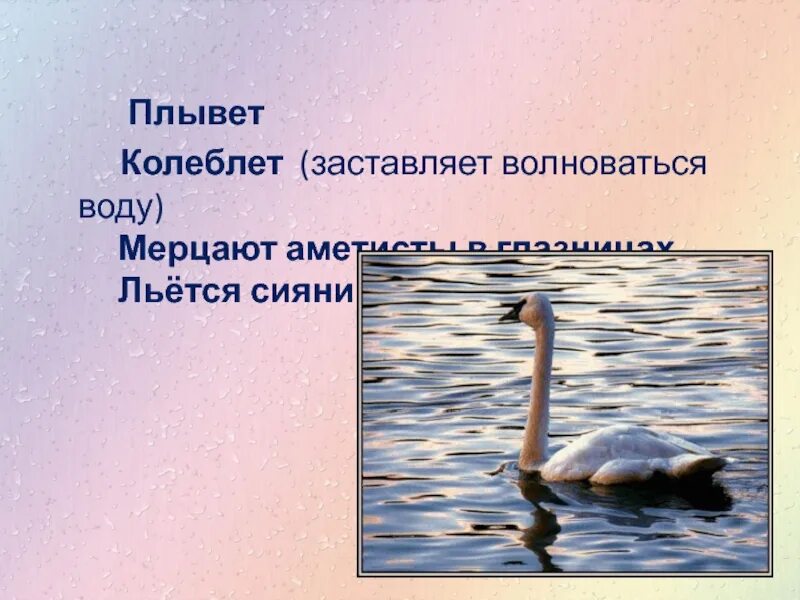 Стихотворение лебедь в зоопарке. Стих лебедь в зоопарке заболоцкий. Заболоцкий лебедь в зоопарке. Стих лебедь в зоопарке заболоцкий. Заболоцкого «лебедь в зоопарке».