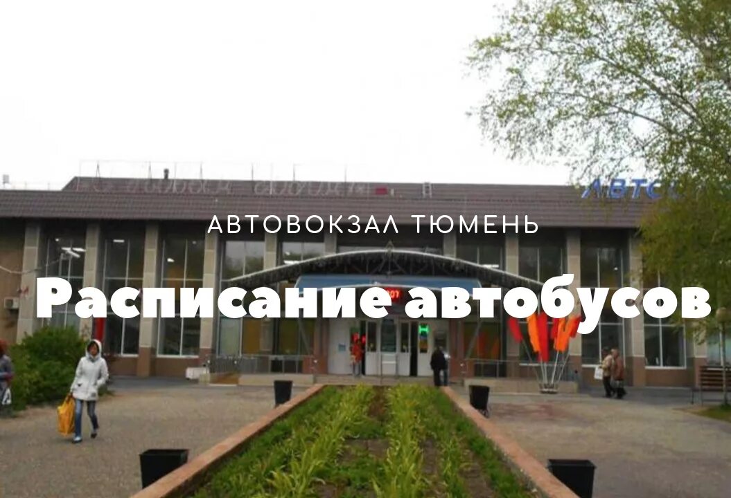 Табло автовокзала Тюмень. Тюмень автовокзал автобусы. Автовокзал Тюмень расписание. Номер телефона автовокзала Тюмень.