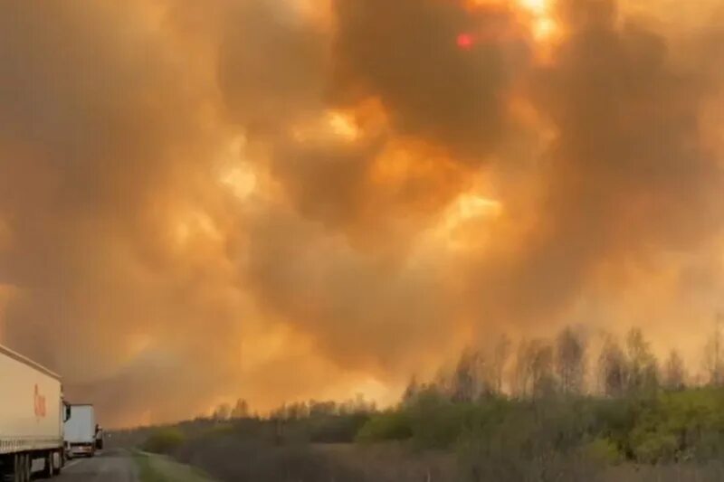 Пожар Тюмень дорога. Пожары в Курганской области. Лесные пожары в Тюменской области 2024. Пожары в Тюменской области.