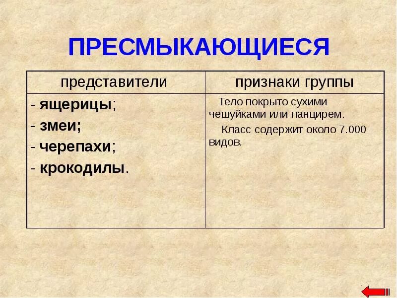 Признаки пресмыкающихся. Пресмыкающиеся признаки группы. Признаки класса пресмыкающихся. Рептилии характерные особенности.