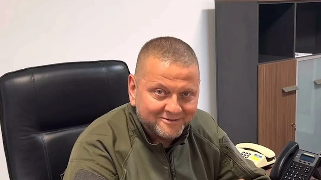 Выступление залужного последнее видео. Выступление залужного последнее видео