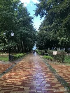 Янтарный поселок парк