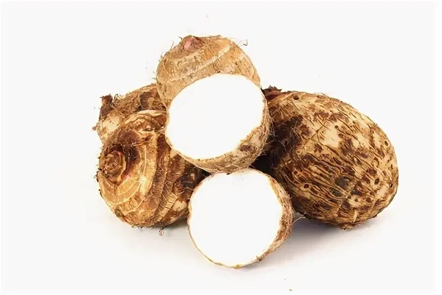 Coco root. Coco root