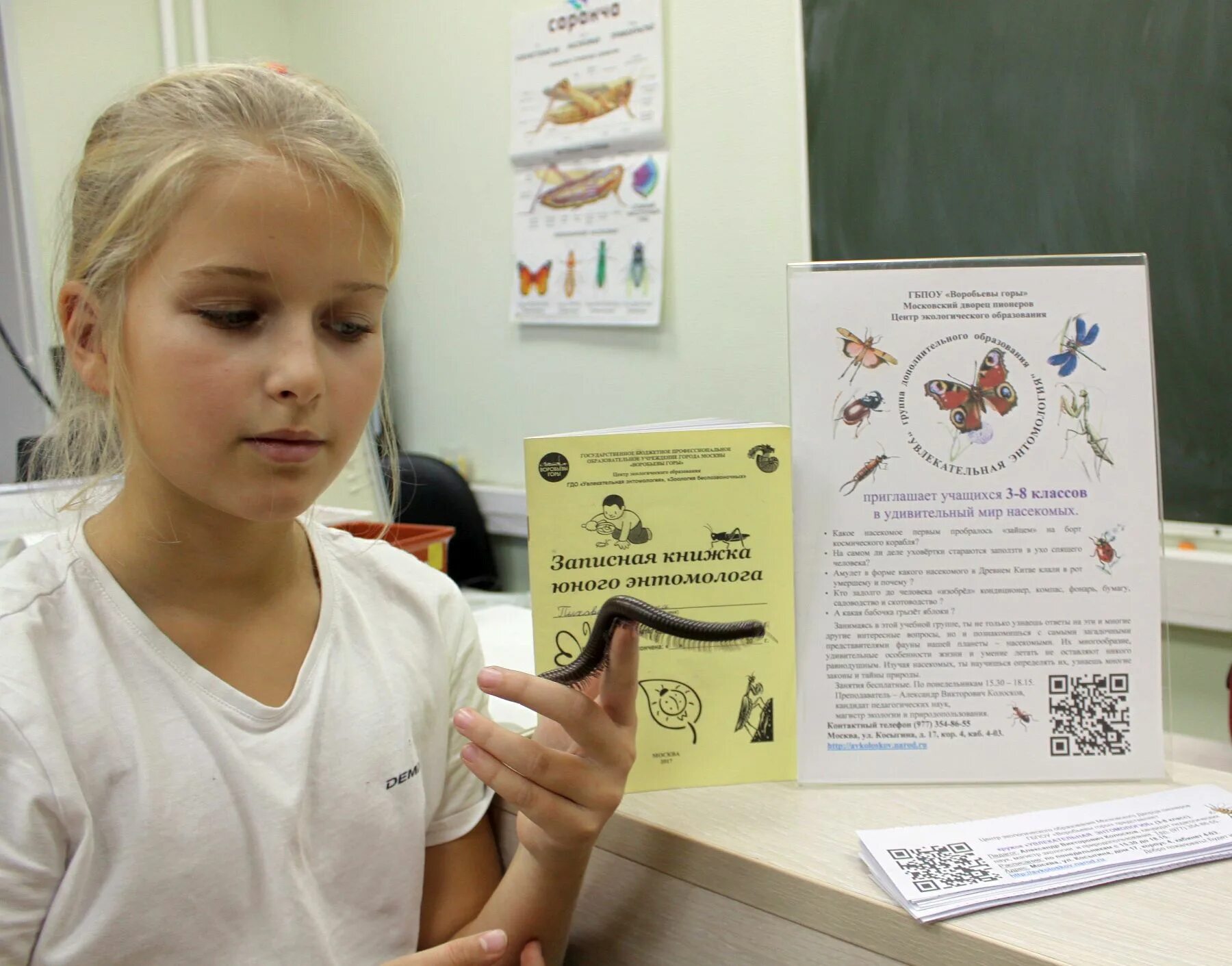 кружок юных. юный энтомолог. гербарий из насекомых. юный энтомолог. стих об энтомологе.