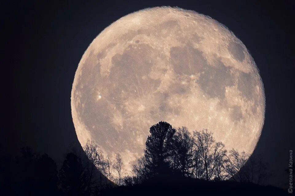 Картинки moon. Огромная Луна. Красивая Луна. Полная Луна. Луна полнолуние.