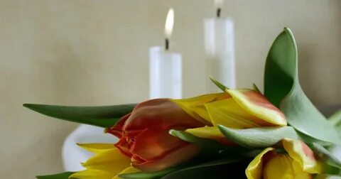 Коллектив выражает соболезнование