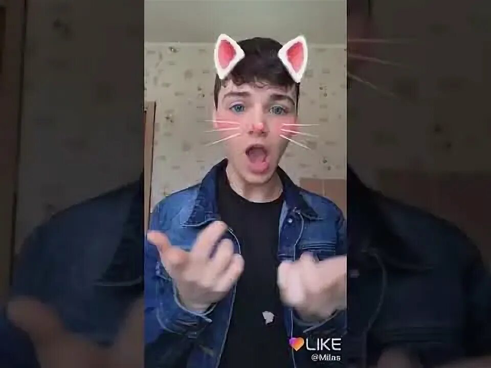 Песня давай эй д мис кис. Мисс кис. Эй мис кис давай вверх давай. Мисс эй. Кис кис давай вверх давай.