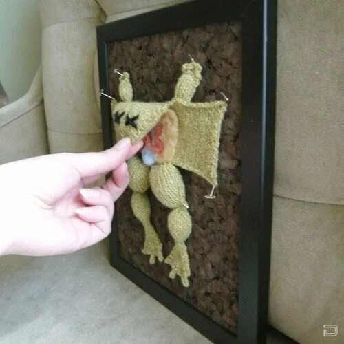 Препарированные животные. Препарировать. Препарировать. Препаровывать лягушку. Препарированная вишня.