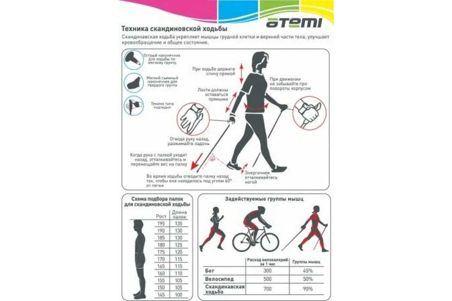 Какой длины палки для скандинавской ходьбы. Палки для скандинавской ходьбы Atemi ATP-02, стекловолокно, 115 см. Палки для скандинавской ходьбы Atemi ATP-02, стекловолокно, 105 см. Выбор длины палок для скандинавской ходьбы. Таблица высоты палок для скандинавской ходьбы.