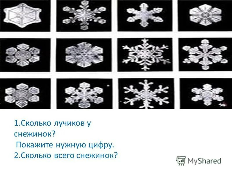 количество снежинок