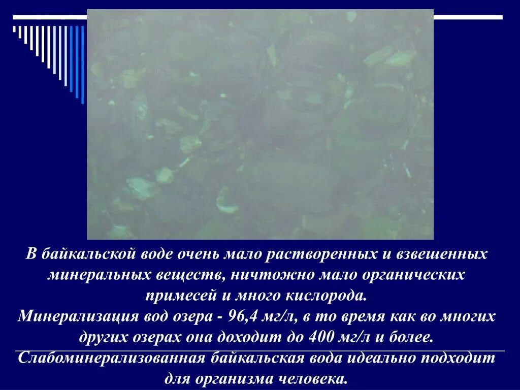 Водное соединение 6. Минерализация органических веществ в воде. Растворенные и взвешенные в воде вещества\. Минерализация воды в Озерах. Органические примеси в воде.