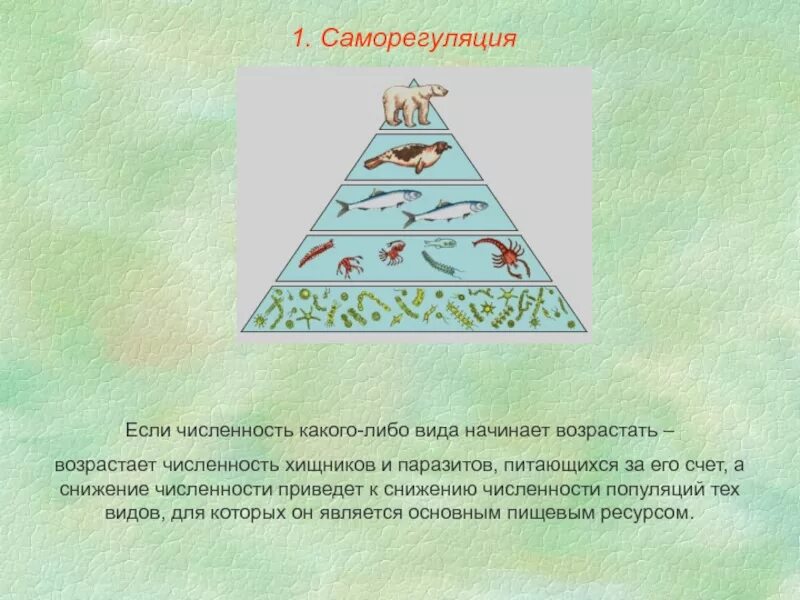 Факторы саморегуляции численности видов в биогеоценозах. Саморегуляция Дубравы схема. Саморегуляция ОГЭ биология картинки. Факты саморегуляции численности видов в биогеоценозах являются. Саморегуляция книга