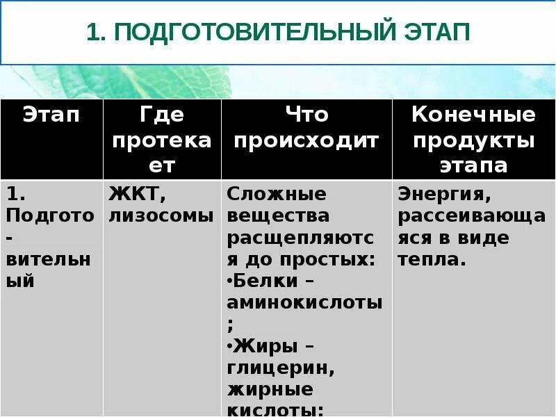 Продукты подготовительного этапа