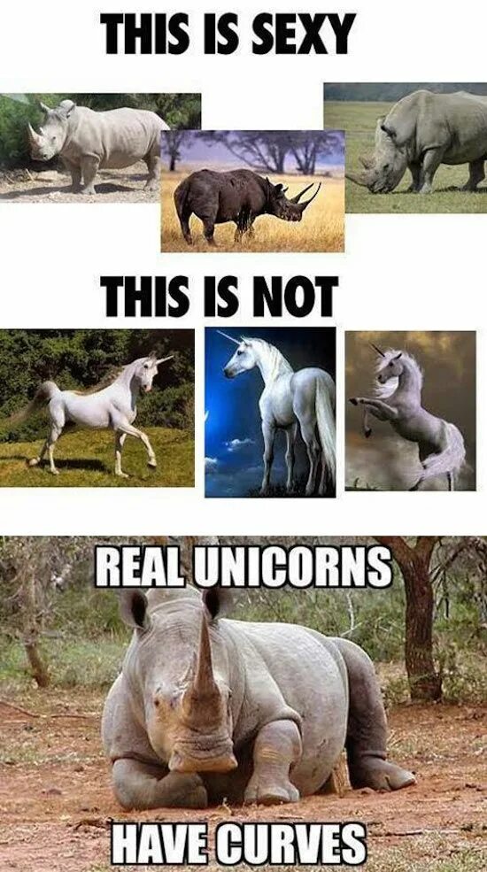 Are not really all