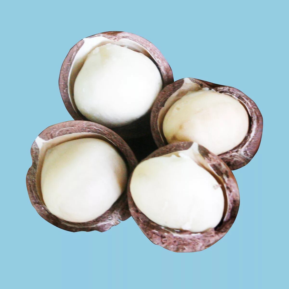 Macadamia butter. Macadamia nuts. макадамия на белом фоне. орехи дорогие белые. орех макадамия фото.