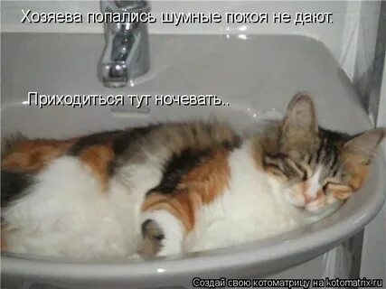 Почему не дает покоя