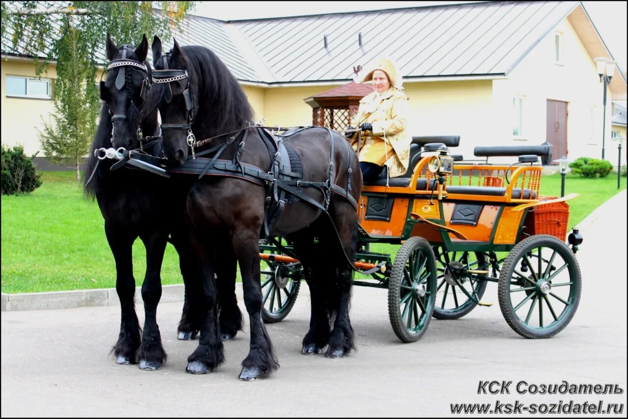 Кск "livadia: horse heaven". Джигитовка конный спорт. Французская верховая в игре horse heaven. Калорифер квб:водяной. Кск графиня.