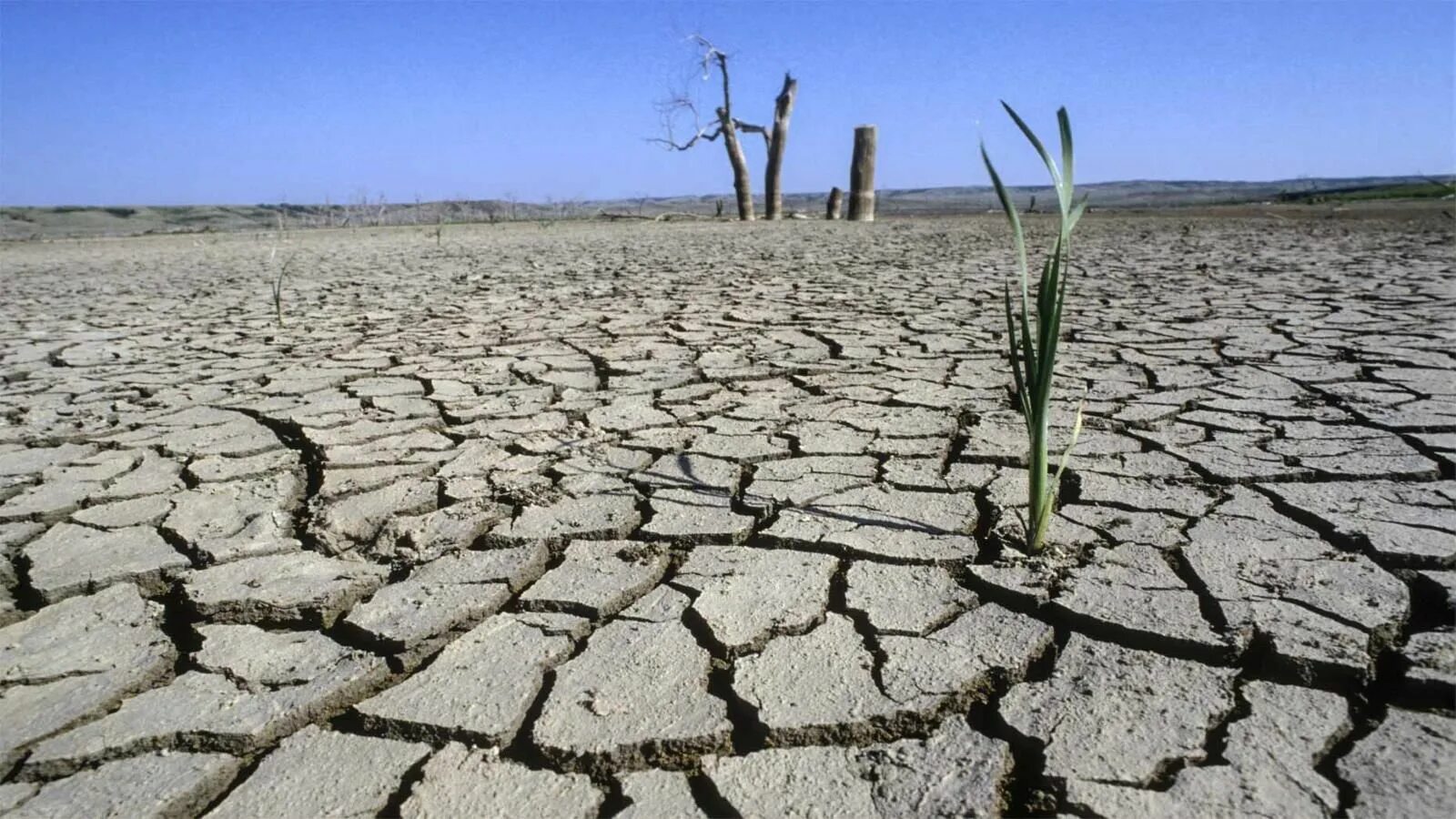 Сахель опустынивание. Засуха. Почва. Засуха в мире.