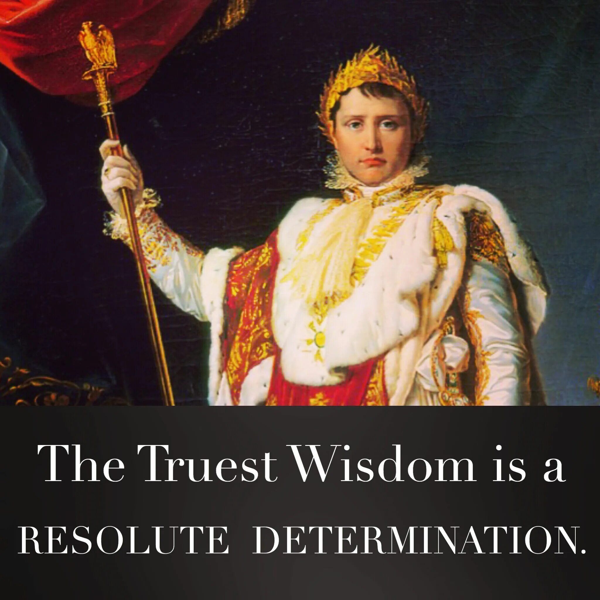 римский наполеон. наполеон 1 бонапарт. наполеон 1 бонапарт император франции. император наполеон 1. римский наполеон.