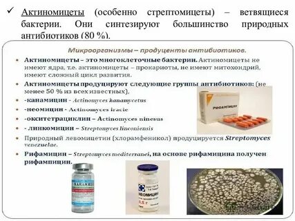 Препараты бактерий подавляющие активность лекарственных препаратов